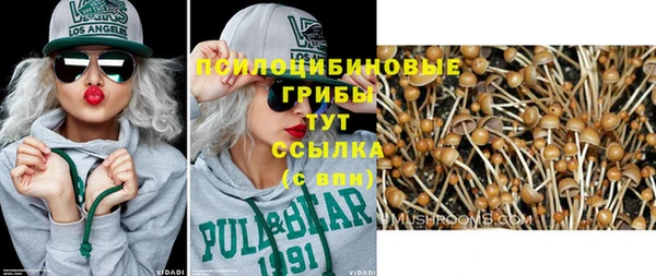 ешки Алексеевка