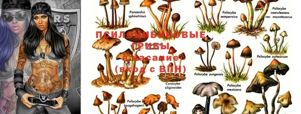 ешки Алексеевка