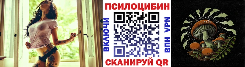 закладки  Дзержинск  Галлюциногенные грибы MAGIC MUSHROOMS 