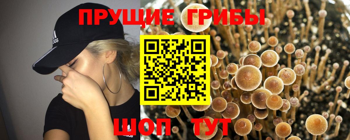 Псилоцибиновые грибы MAGIC MUSHROOMS  Вход с VPN  Дзержинск 